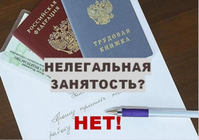 Противодействие нелегальной занятости Противодействие нелегальной занятости.