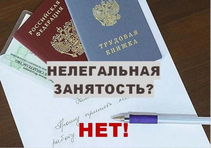 Противодействие нелегальной занятости Противодействие нелегальной занятости.