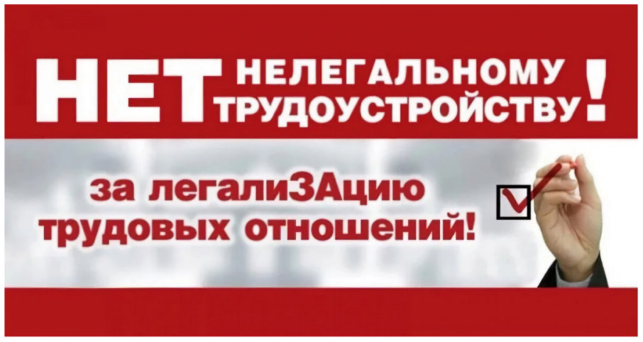 Нелегальная занятость Нелегальная занятость.